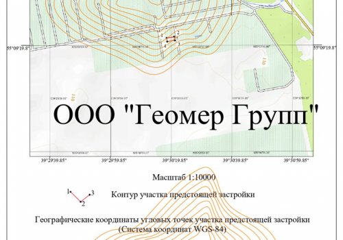 Копия топографического плана участка предстоящей застройки, г. Красногорск, мкр. Опалиха
